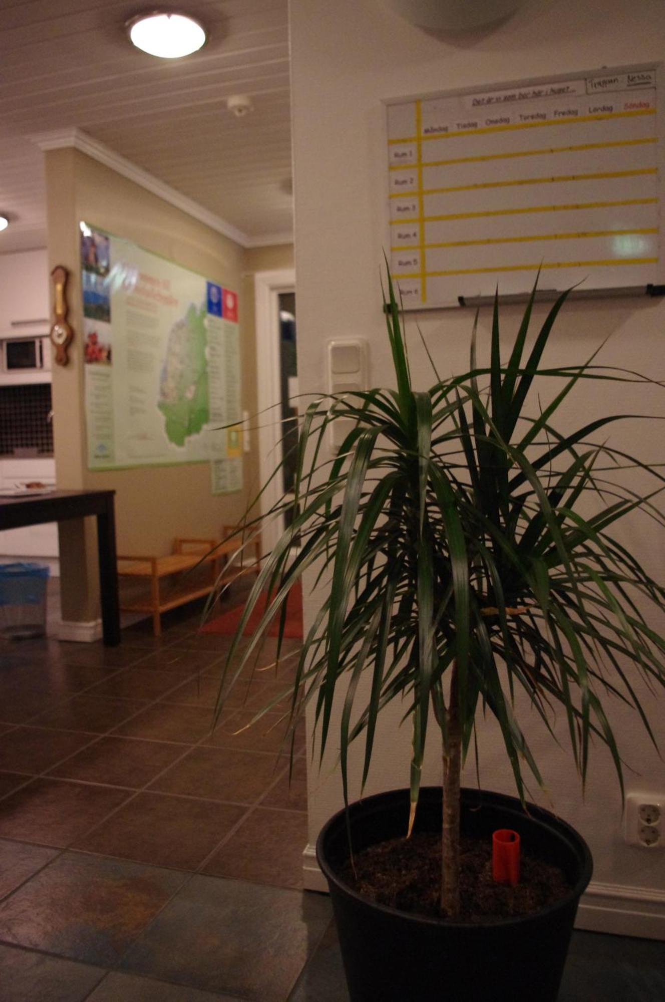 Aeventyrsgardens Vandrarhem, Kinnekulle Källby Dış mekan fotoğraf